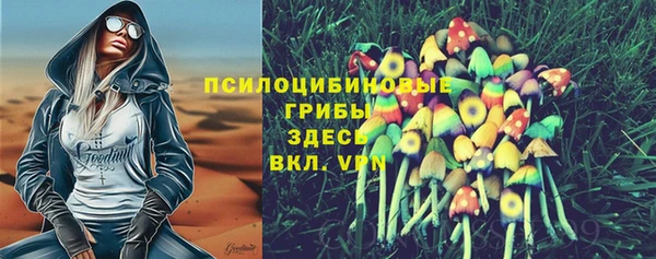 стафф Михайловск