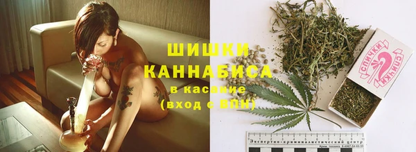 стафф Михайловск